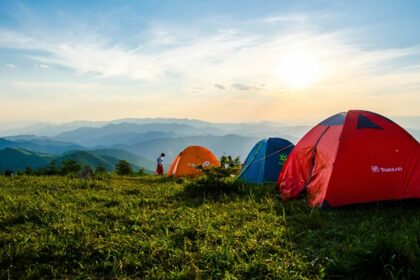 Thrilling camping in the idyllic campsite surrounded by beautiful flora and fauna