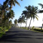 Scenic route with ocean views and lush greenery - visit the best hill stations in Kollam