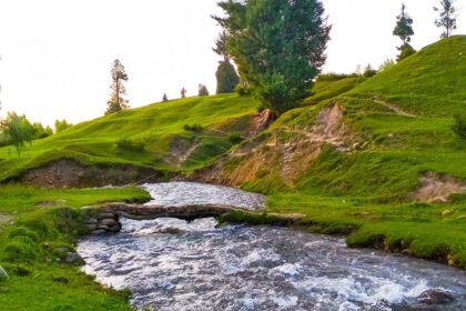 A stream going through the green meadows, one of the best places to visit in Doodhpathri.