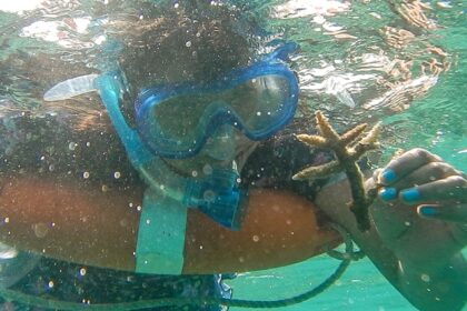 Snorkelling on Havelock Island is ideal for exploring coral reefs and underwater marine creatures