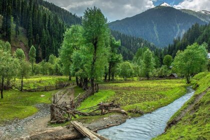 Lush green forest with a water creek, one of the top places to visit in Kashmir in October