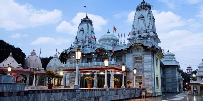 Zoo In Rohtak: Exemplifying The Rich Flora And Fauna - TripXL