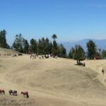 Scenic view of camping in Kufri, Shimla, with green hills, tall trees, and distant mountain peaks.