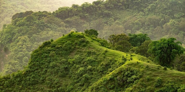 Places To Visit In Tonk: The Historical Gems Of Rajasthan - TripXL