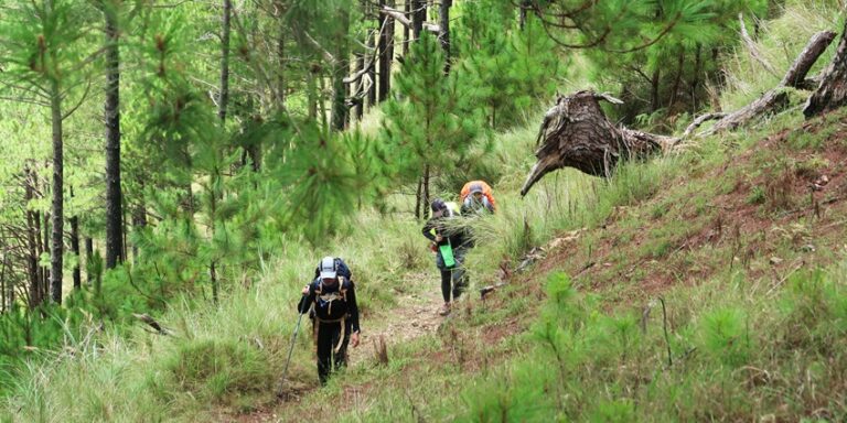 Anshi National Park: Explore The Untamed Beauty Of Karnataka - TripXL