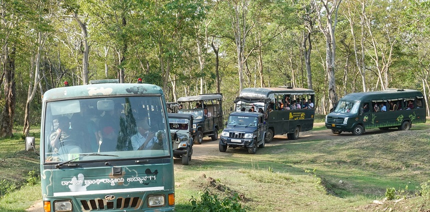 Anshi National Park: Explore The Untamed Beauty Of Karnataka - TripXL