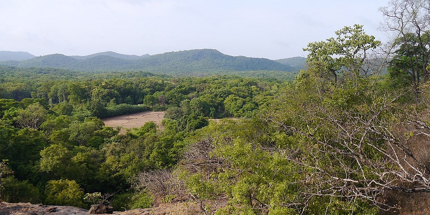 Places To Visit In Dandeli: Must-See Attractions In Karnataka - TripXL