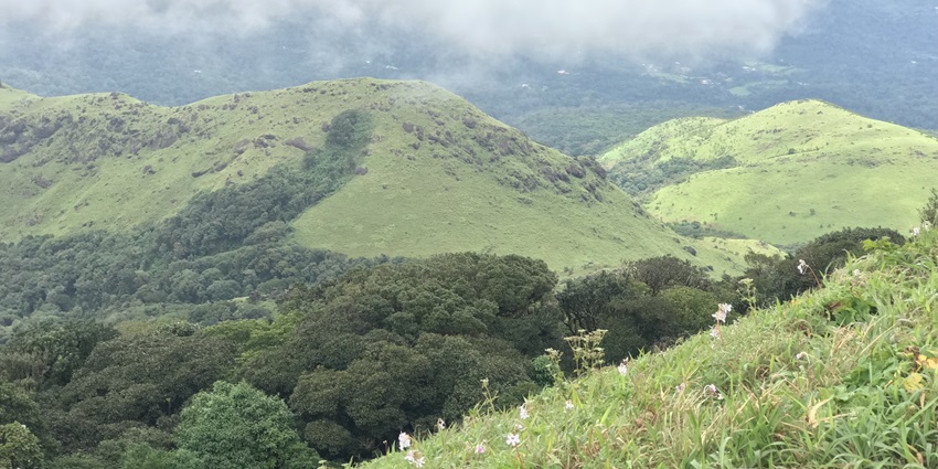 15 Best Places To Visit In March Near Bangalore - TripXL