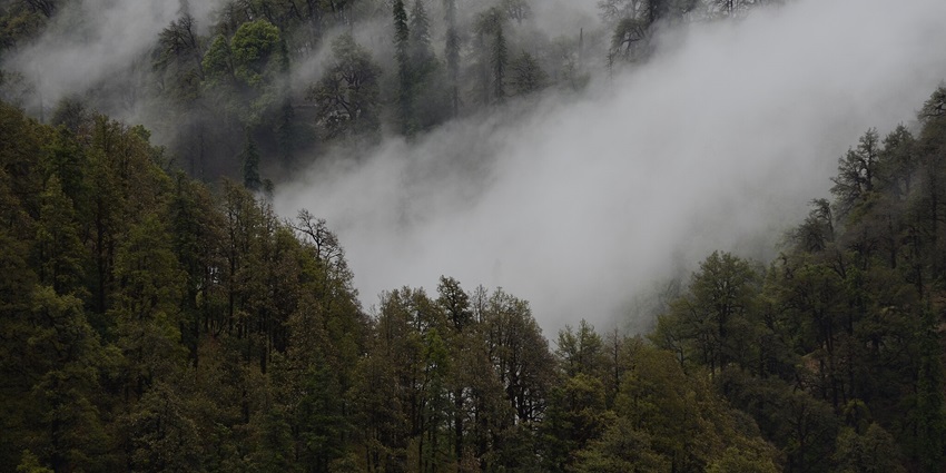 chopta tour package