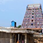 Srimushnam Temple structure towering gopuram with detailed sculptures under a clear sky.