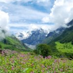 An enchanting vista of lush greenery, peaks and colourful blooms in Uttarakhand.