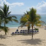 A picture of a scenic beach in Jamaica with beautiful pine trees on the shore