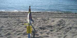 12 Nude Beaches In Florida Spots For A Barefoot Escape - TripXL