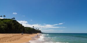 14 Amazing Nude Beaches In USA For A Relaxing Day Out - TripXL