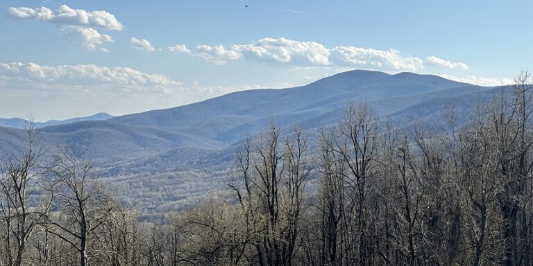 Shenandoah National Park: Ultimate Guide For Travellers - TripXL