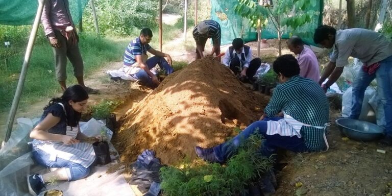 Trekking In Aravali Hills Gurgaon: The Guide For Travellers - TripXL