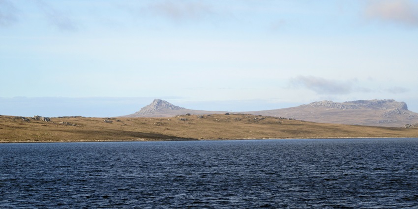 FALKLAND ISLANDS PROFILE visual data 7