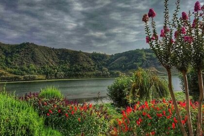 Manasbal Lake in Kashmir is surrounded by greenery with unique colourful flowers and distant hills.